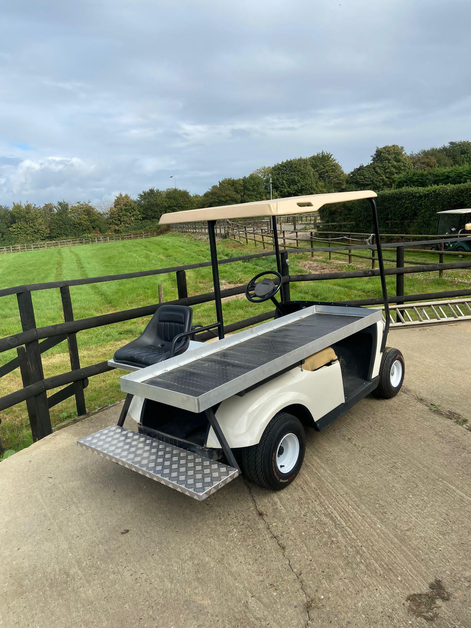 Golf Buggy Rear View