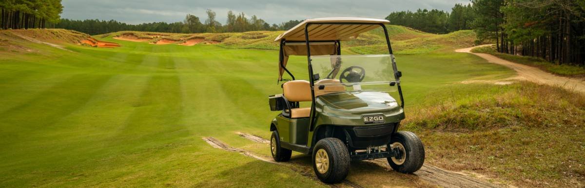 Golf buggy on course