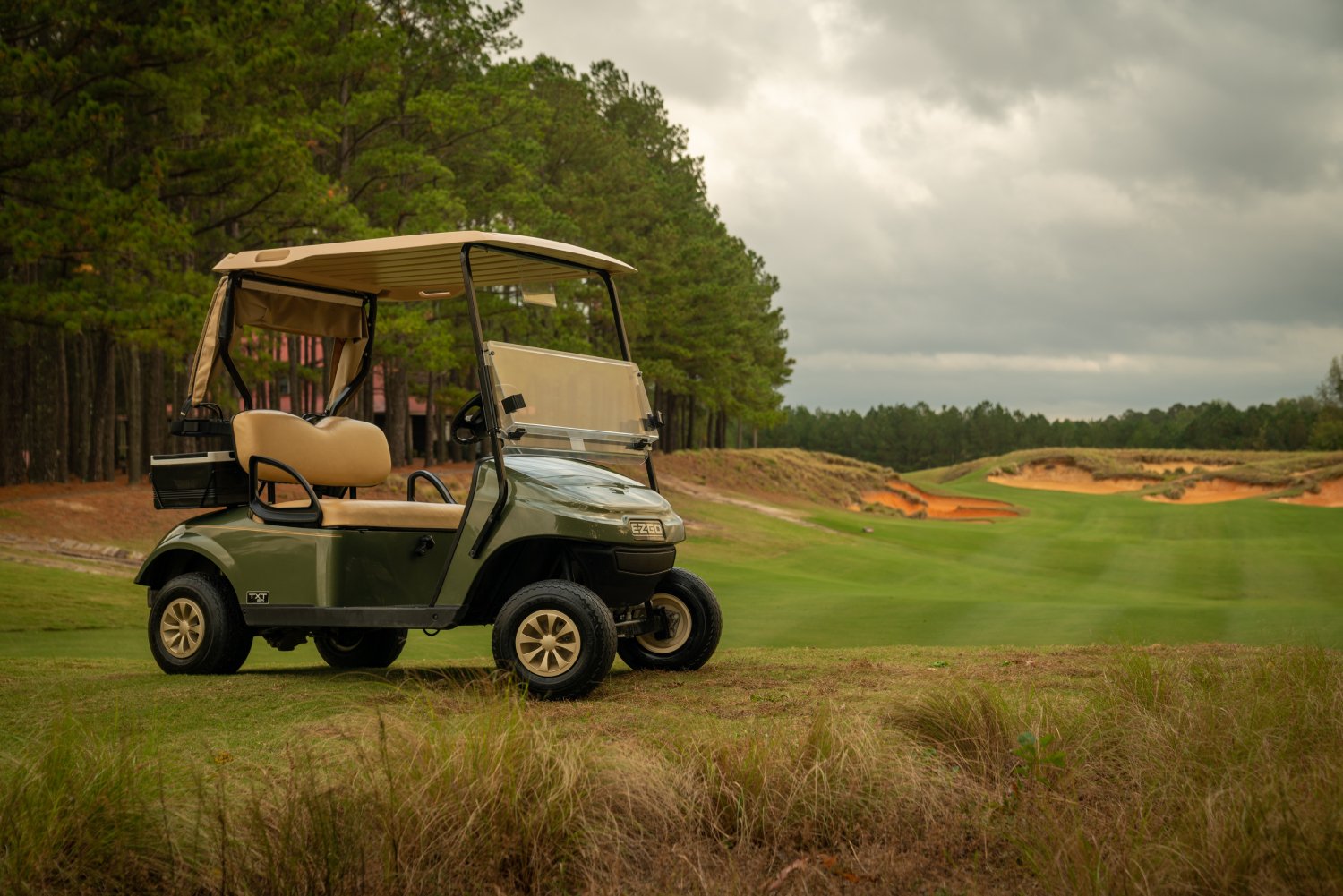 My Golf Buggy banner